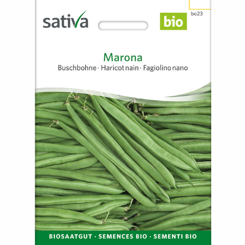 Buskböna – Marona