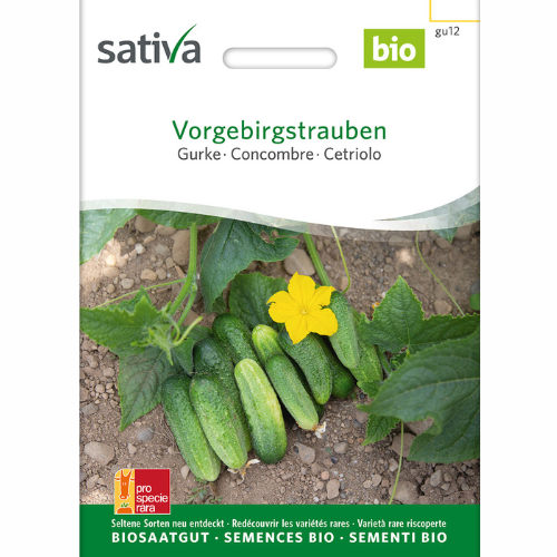 Inläggningsgurka – Vorgebirgstrauben