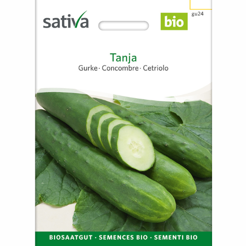 Free-range cucumber – Tanja