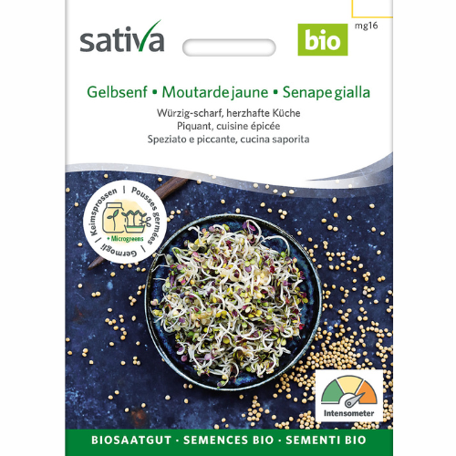 Groddfrön – Gul senap (ekologisk)