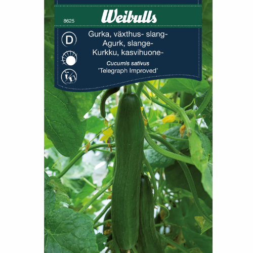 Cucumber – Telegraph Improved