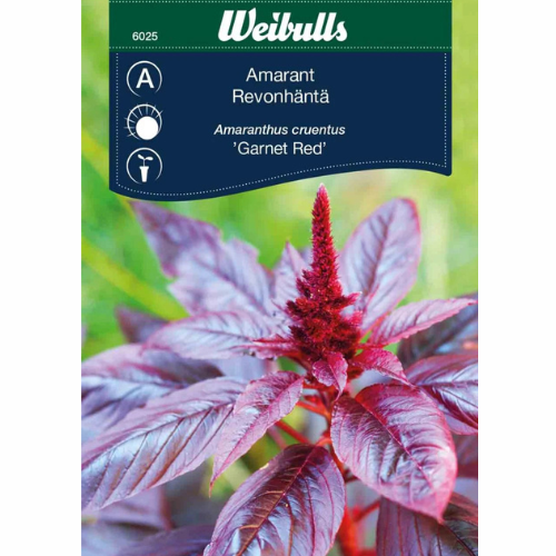 Amaranth – Garnet Red