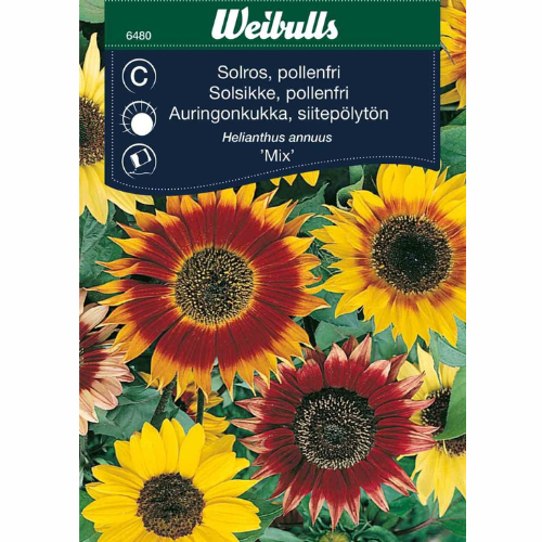 Solsikke - Pollenfri blanding