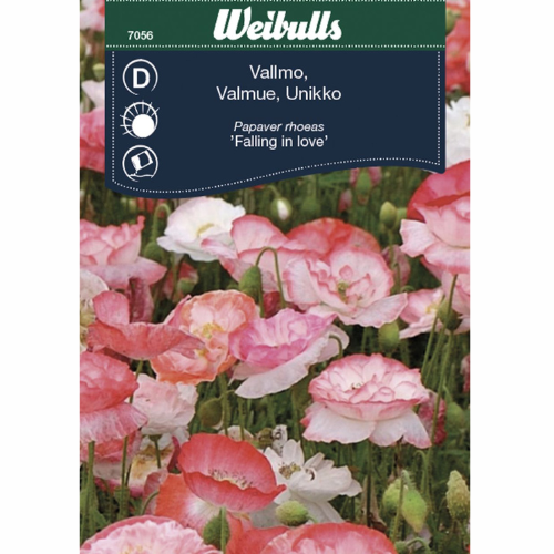 Valmue - Forelskelse