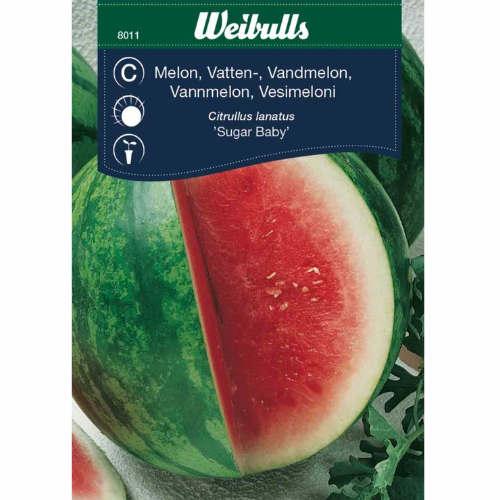 Vattenmelon - Sugar baby
