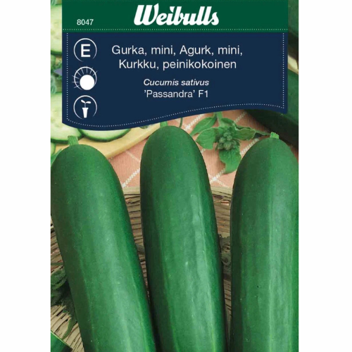 Gurka - Passandra F1