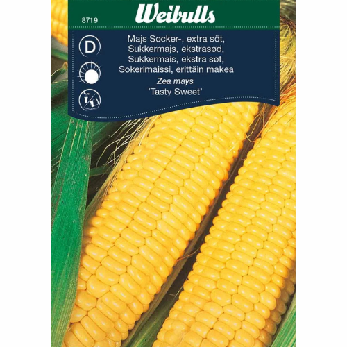 Sweet corn &