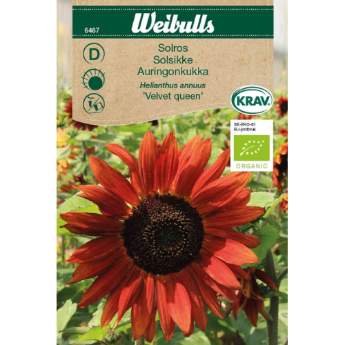 Solros – KRAV Velvet Queen