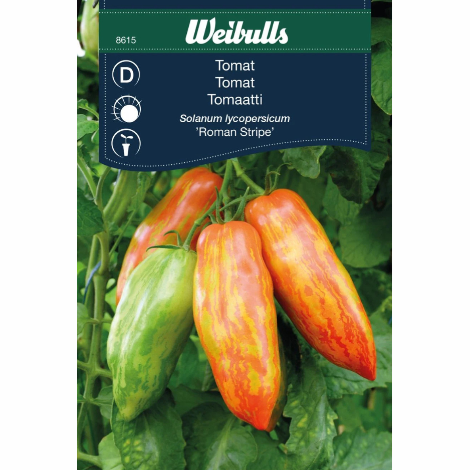 Tomat – Roman Striped