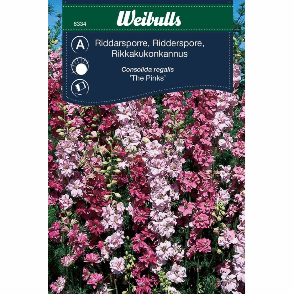 Delphinium – The Pinks