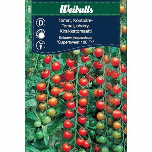 Körsbärstomat – Supersweet 100 F1