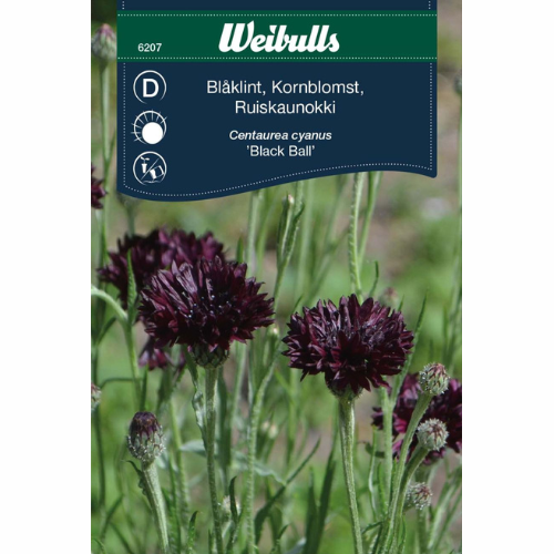 Blåklint – Black Ball