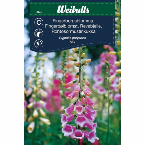 Foxglove – Mix