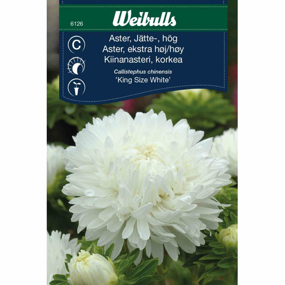 Aster - King Size White