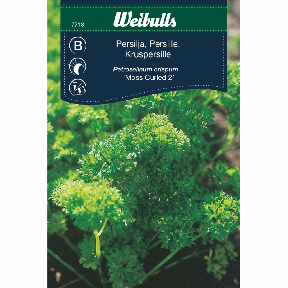 Persilja, krus – Moskrul 2
