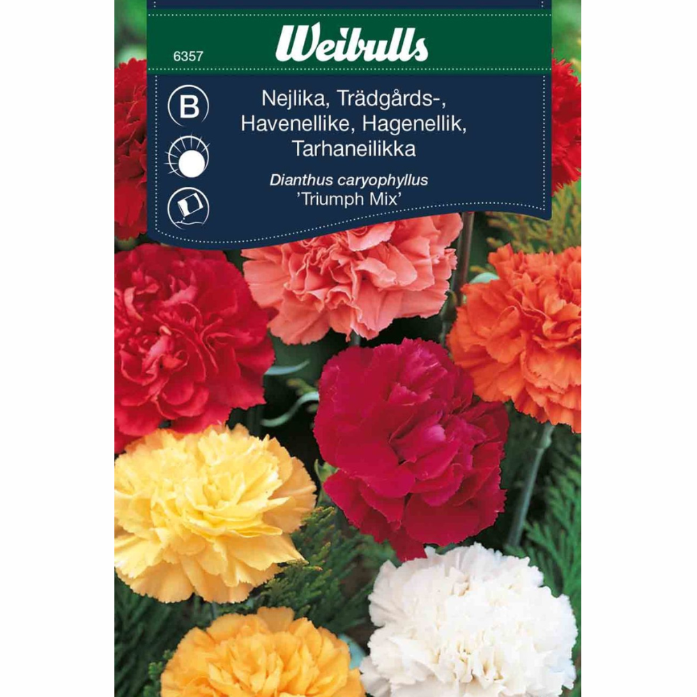 Nejlika - Triumph Mix