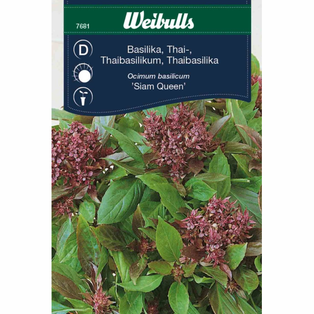 Thaibasilika – Siam Queen