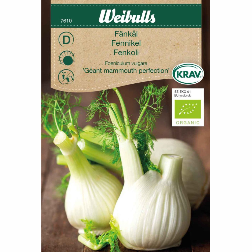 Fänkål - Géant Mammouth Perfection