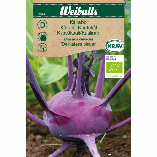 Kålrabbi - Delikatess blauer