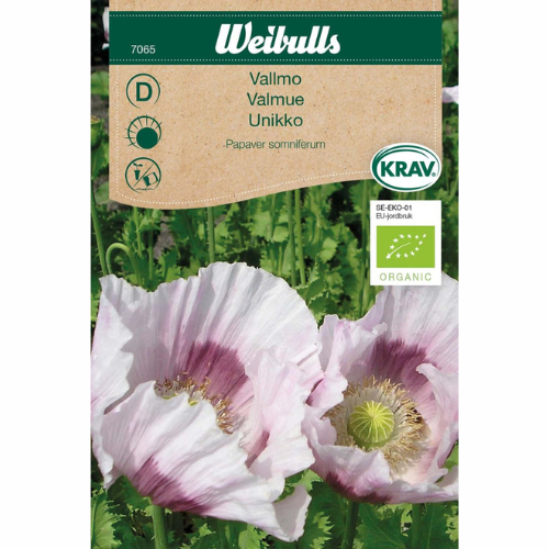 Vallmo - Vit