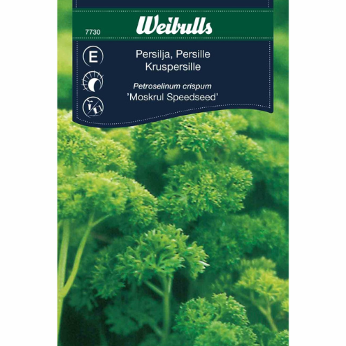 Persille, krøllet – Moskrul (hurtigtvoksende)