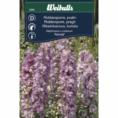 Delphinium – Astolat