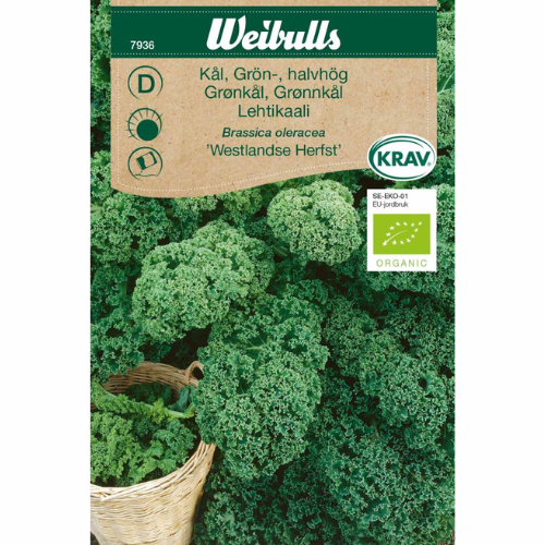 Kale - Westland Autumn