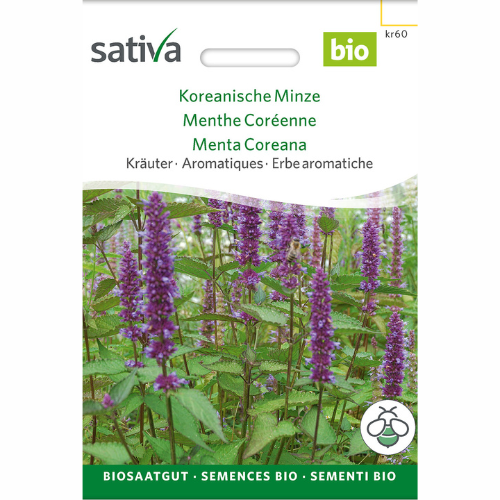 Korean Mint – Agastache rugosa – 100 frön