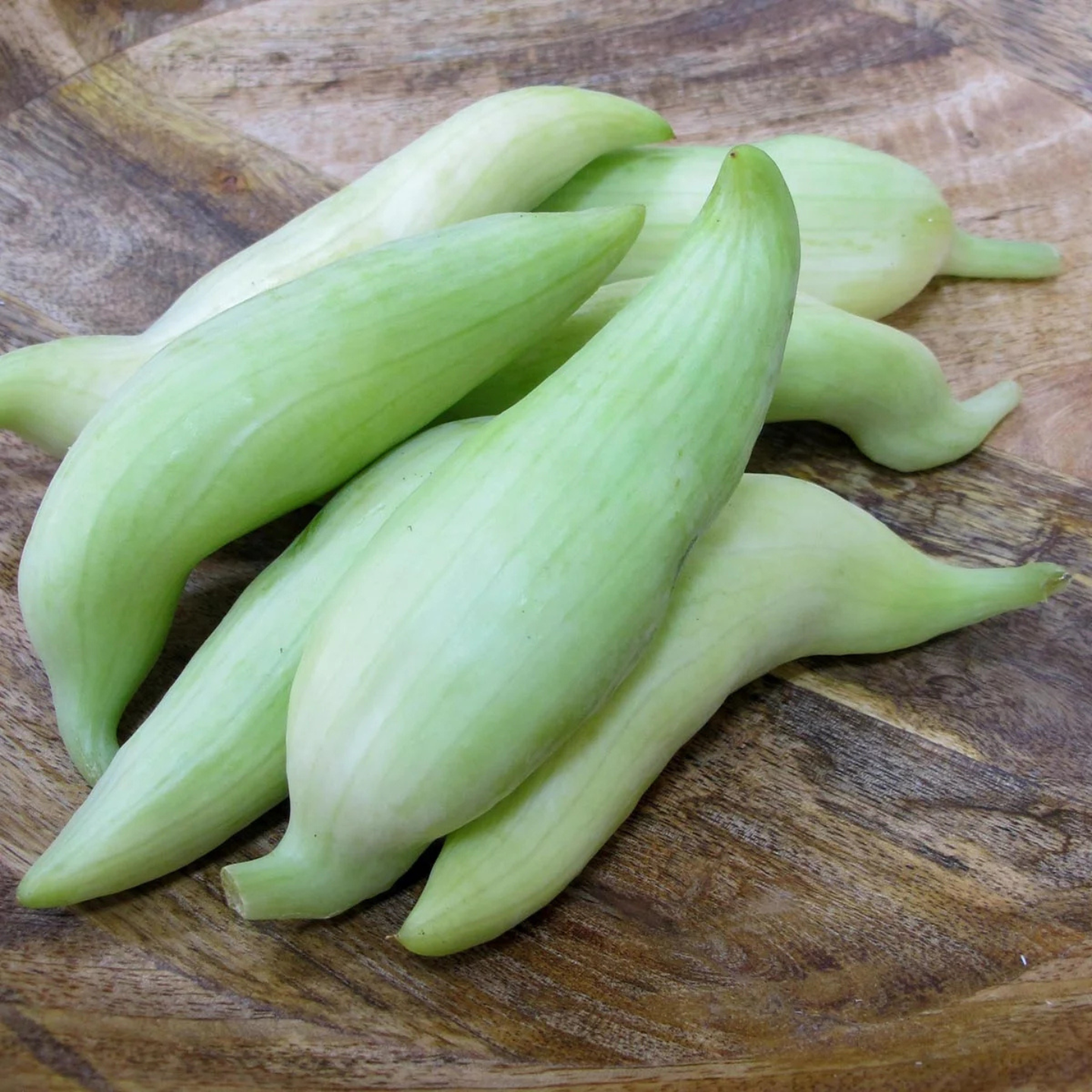 Inca Cucumber - Caigua - Slipper Gourd