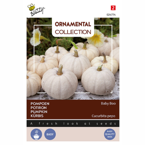 Pumpa &
