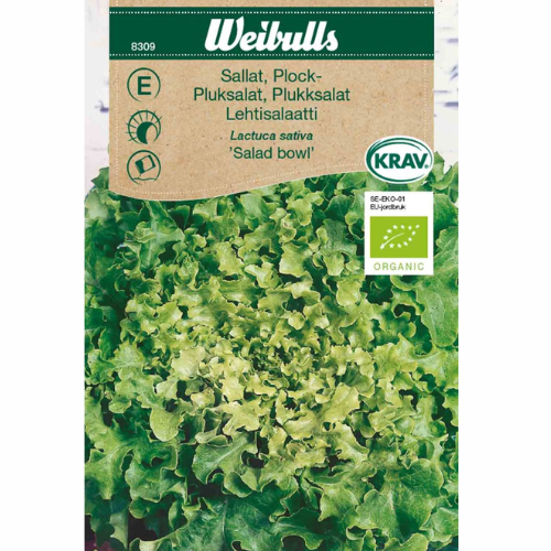 Ekologisk Plocksallat &
