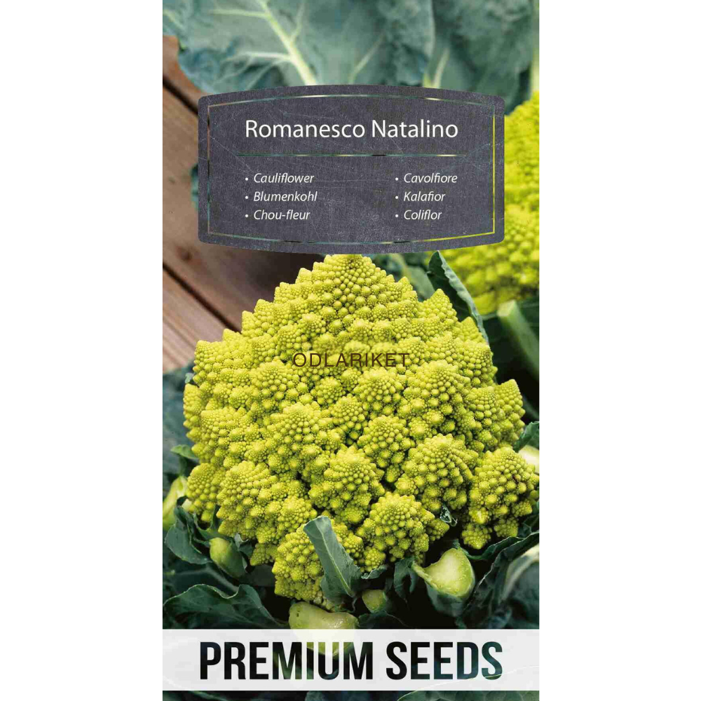 Blomkål – Romanesco Natalino - 270 frön