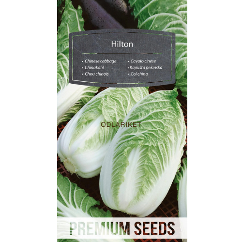 Salatskål - Hilton - 215 frø -