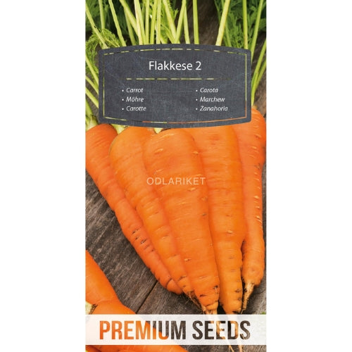Carrot – Flakkese 2 - 4100 seeds