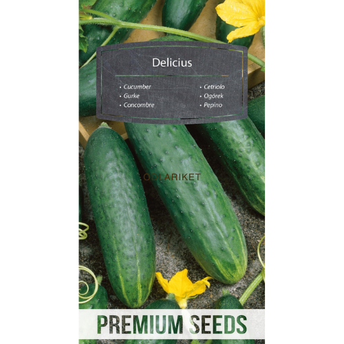 Gurka - Delicius - 200 frön