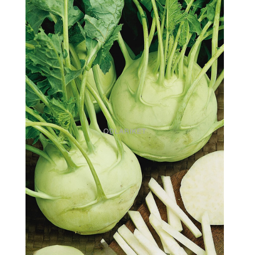 Kålrabbi - Giant - 500 frön