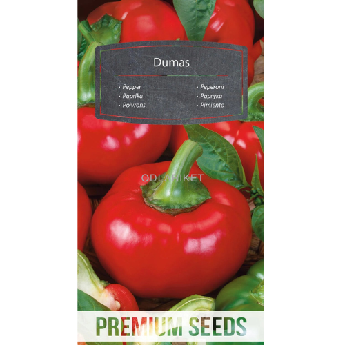 Paprika - Dumas - 70 frön