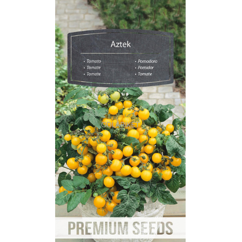 Körsbärstomat - Aztek