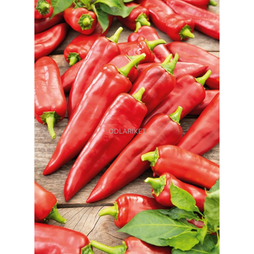 Peber - Parade - 80 frø -