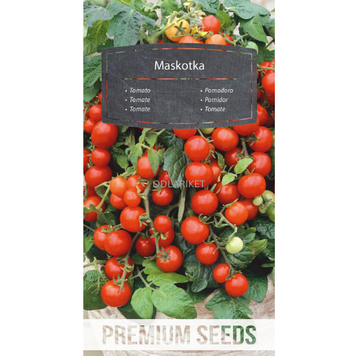 Tomat - Mascot - 200 frön