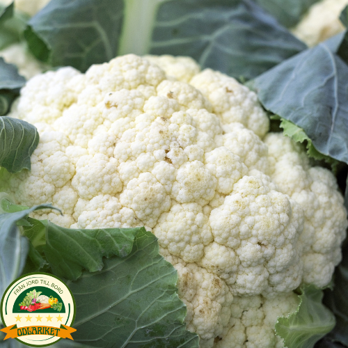 Cauliflower – Snowball X - 270 seeds
