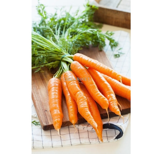 Morot – Flakkese 2 (Flacoro) - 4100 frön