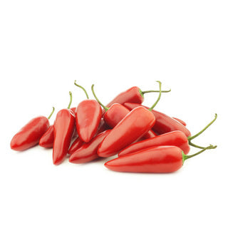 Chilli plant &