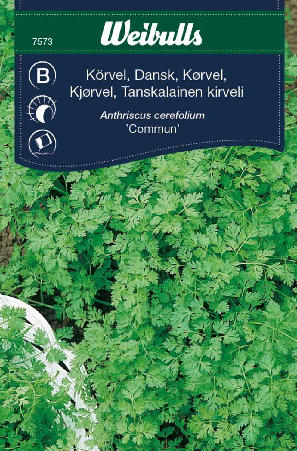 Chervil – Dansk Commun