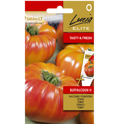 Tomato - Buffalosun H