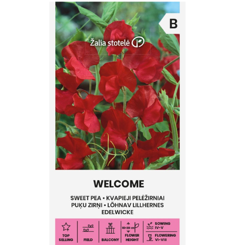 Sweet Pea - Welcome