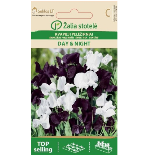 Sweet Pea - Day &amp;amp; Night