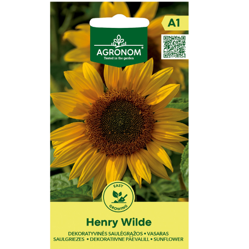 Sunflower - Henry Wilde