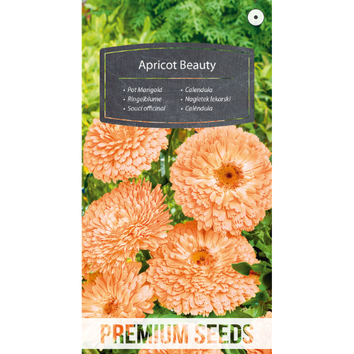 Ringblomma - Apricot Beauty