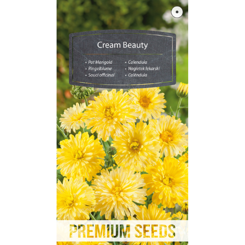 Ringblomma - Cream Beauty